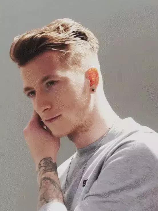 世界杯肉肉的仙人球,世界杯胖嘟嘟