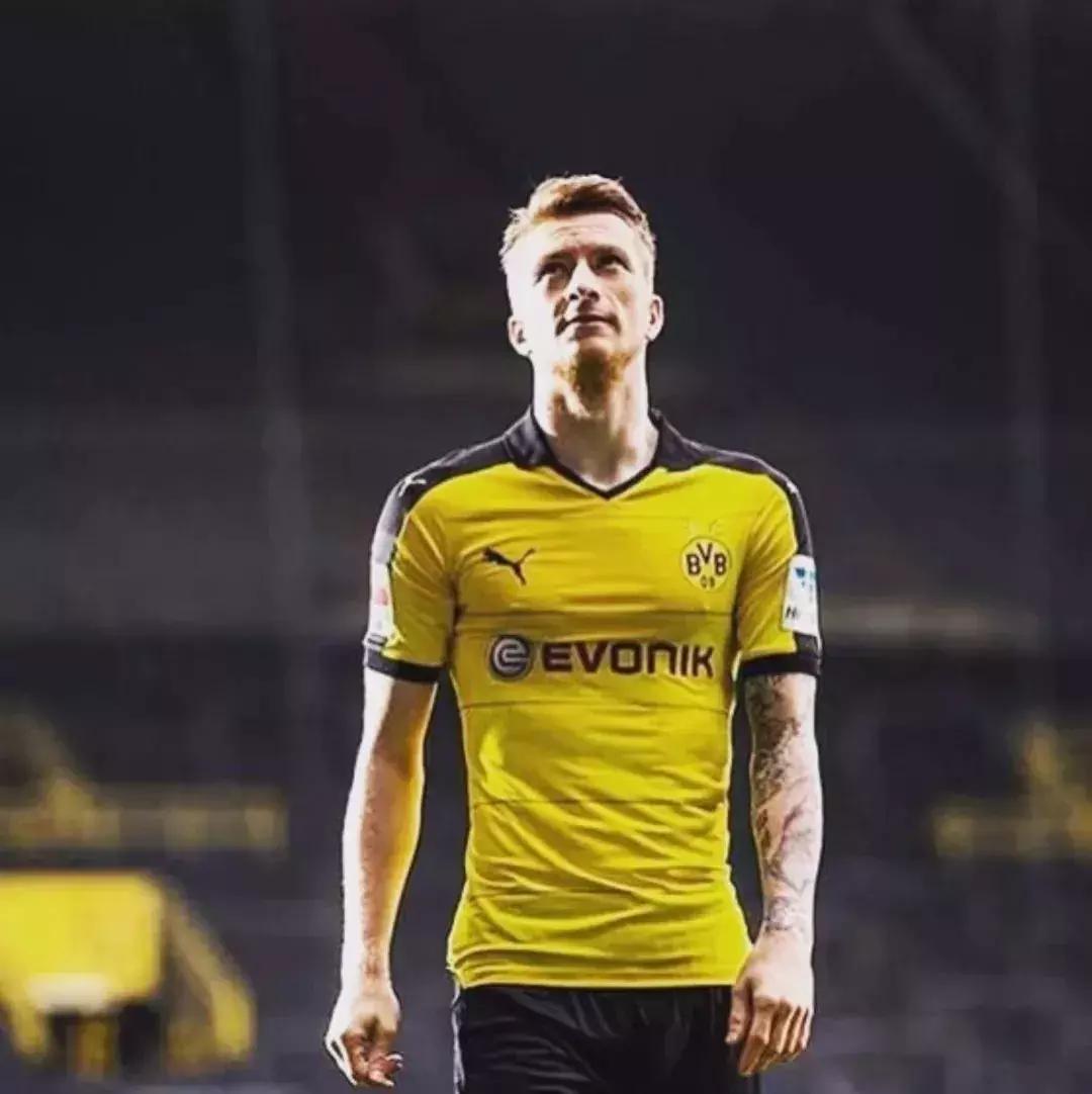 世界杯肉肉的仙人球,世界杯胖嘟嘟