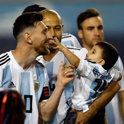 世界杯肉肉的仙人球,世界杯胖嘟嘟