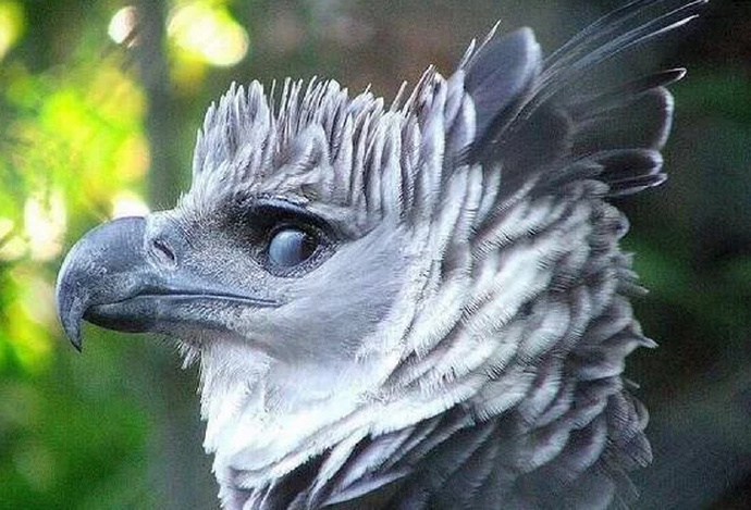 男生邀请奶奶走毕业红毯:她从小照顾我,最辛苦功劳最大