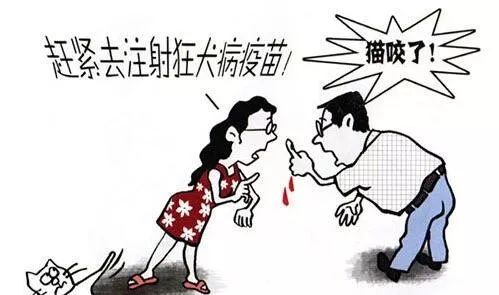 新余狂犬病,江西有狂犬病案例吗