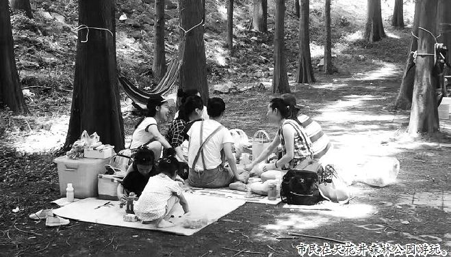 「荐读」端午节遇上父亲节这个小长假，您打算怎么过？