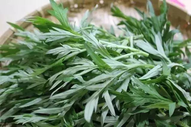 它是一种保护草,行气活血、养心助眠、驱寒气!