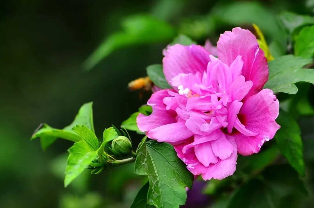 带上你的SuperHero，一起留下最温暖的回忆！