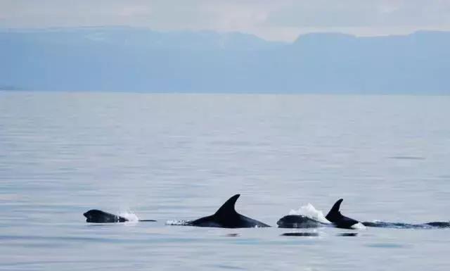 神奇的冰岛美景,神奇的大自然冰岛