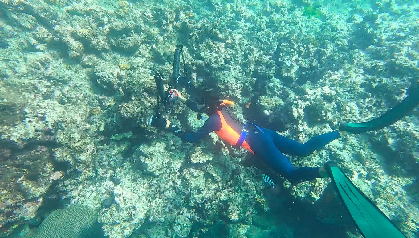 在斐济生活,斐济生活的真实感受