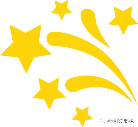 铿锵玫瑰归来小说,女足铿锵玫瑰回家