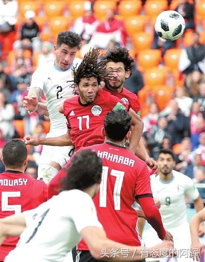 世界杯之足彩深度解析,世界杯和足彩