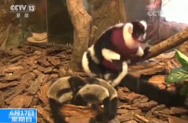 今日话题：两男子争吵“吵”出人命〡早安，张家界！（第151期）