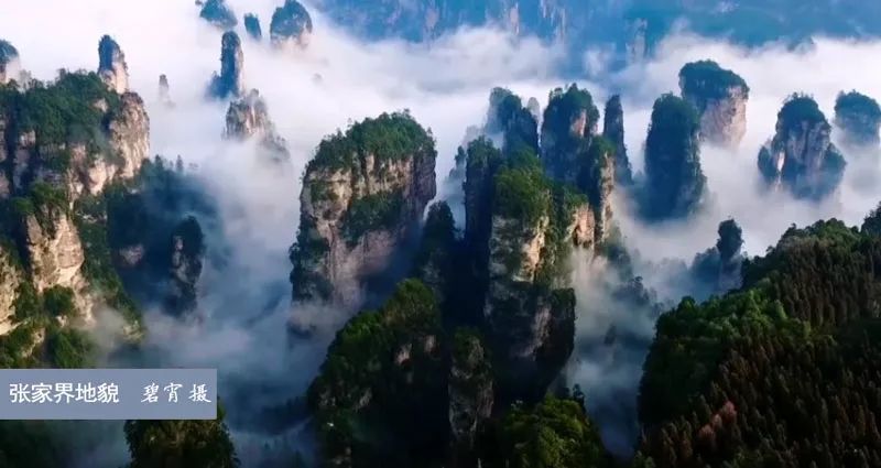 今日话题：两男子争吵“吵”出人命〡早安，张家界！（第151期）