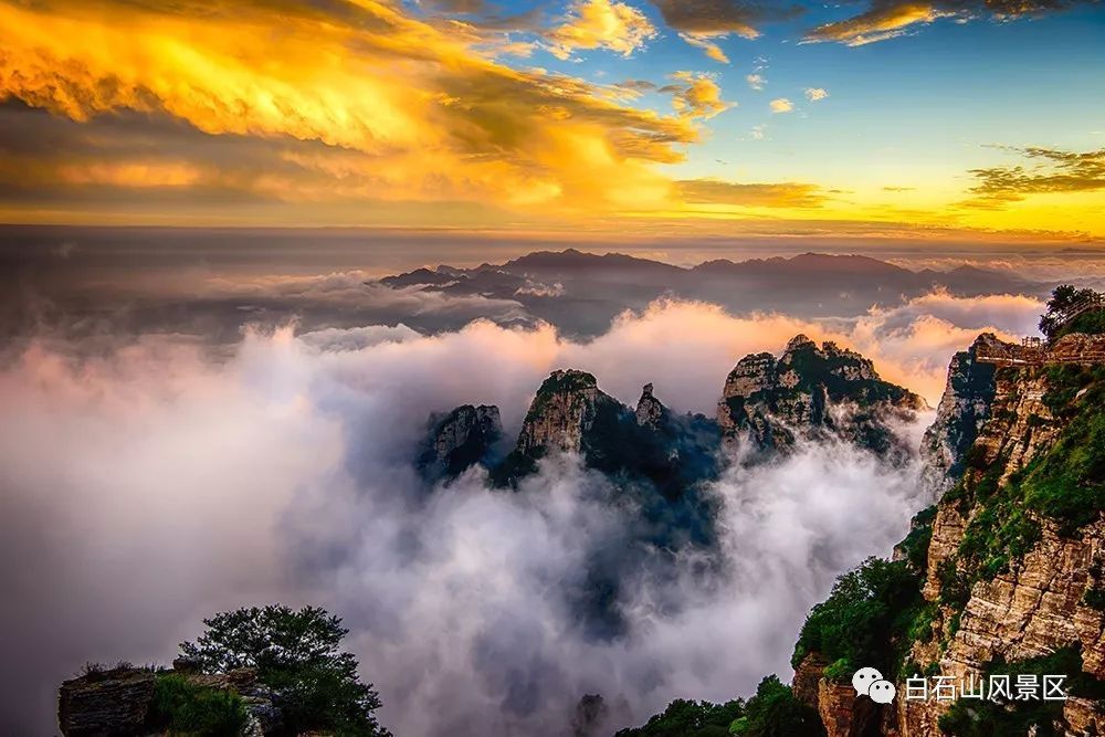 白石山十一特惠门票,白石山免费咖啡攻略