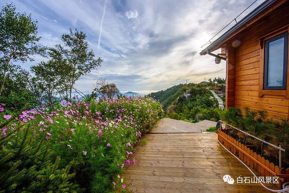 白石山十一特惠门票,白石山免费咖啡攻略