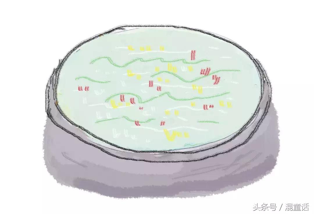 粽子连环画,有声连环画之铜钟案