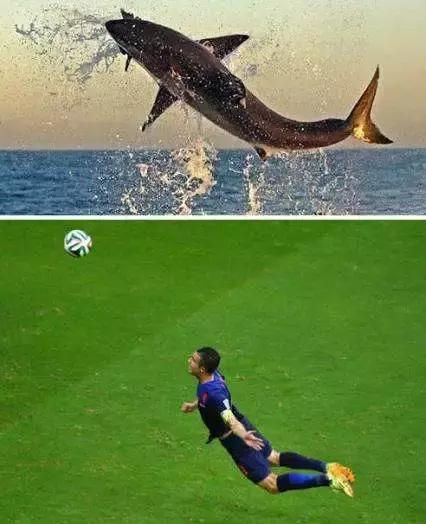 历届世界杯梗,2018世界杯有哪些搞笑事情