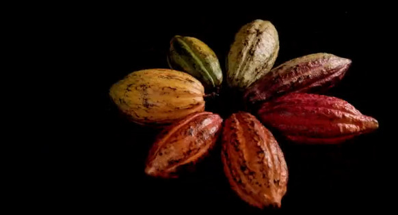 舌尖上的水果世界纪录片,被称为舌尖上的中国后续的纪录片