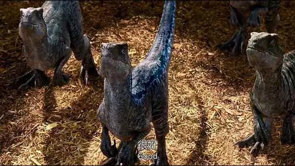 侏罗纪恐龙世界认识各种恐龙,侏罗纪系列电影里最强恐龙排名