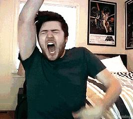 lv定制款狗狗包,lv上画熊猫的包