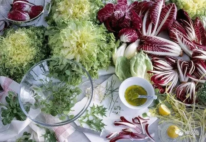 订单农业如何做好,订单农业的五个优秀案例