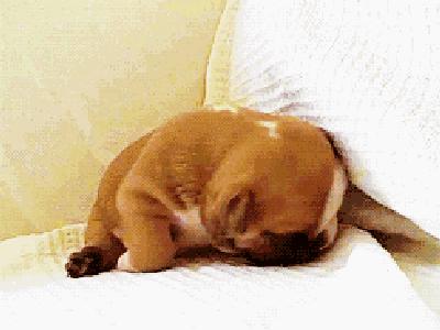 旅行按摩颈椎枕,旅行颈椎枕实测