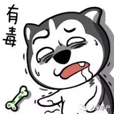 黄曲霉毒素真的有这么可怕吗,黄曲霉素的特点