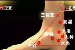 人体八大黄金穴,人体九大系统对应的器官