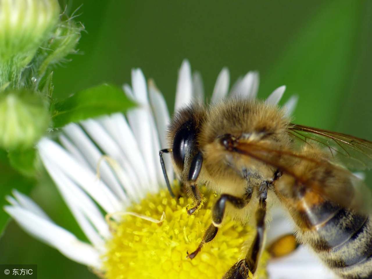 中国股市退市现状,股民全部抛售退市销户后果