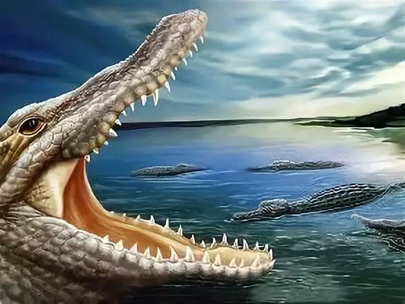 鳄鱼皮鞋子好还是牛皮好,鳄鱼皮的皮鞋优点和缺点