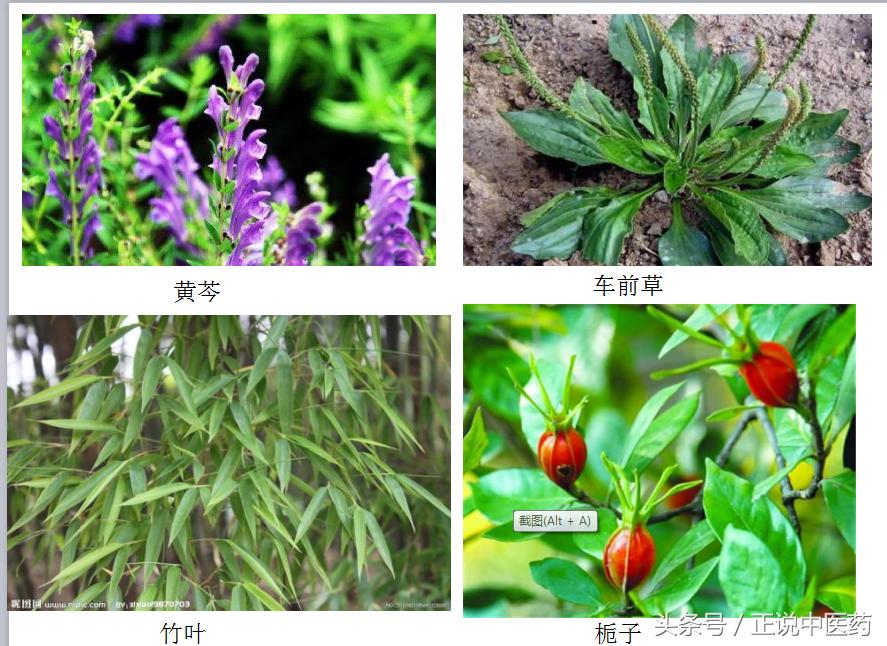经常熬夜伤肝脾肾吃中药怎么调理,熬夜饮食不规律中药调理