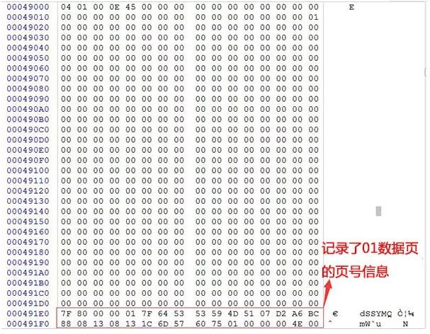 access数据库入门教程全套20集,效哥电商干货
