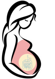 肠道健康菌群与孕产妇的关系,孕产妇必读
