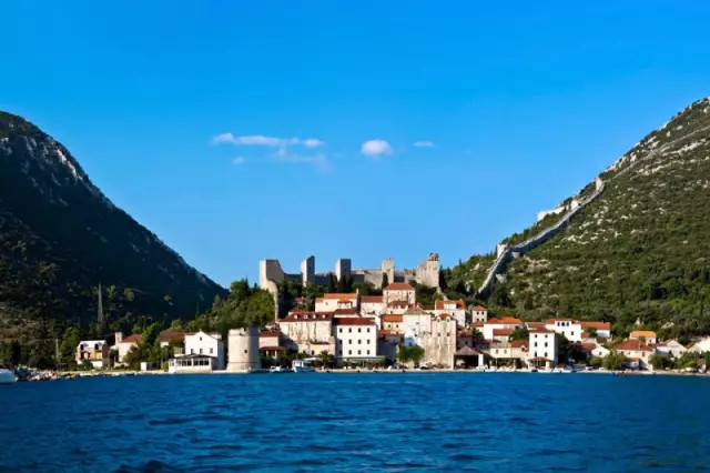 世界杯决赛潘帕斯雄鹰高卢,格子军团vs潘帕斯雄鹰复仇之刃