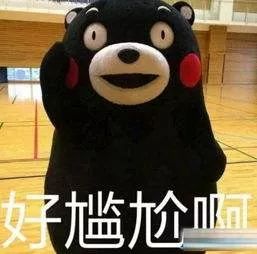 世界杯6点场竞彩几点停售,竞彩世界杯开售时间