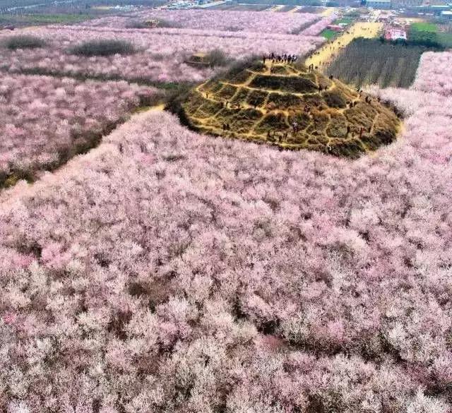 西安将会发生的大变化是什么,西安将有什么重大改变