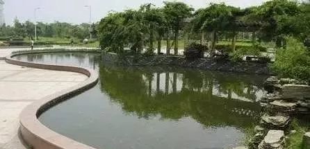 科学撸串|送你一份夏日户外安全烧烤宝典