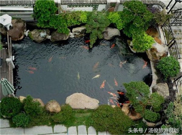 庭院风水植物什么最好,旺宅庭院植物