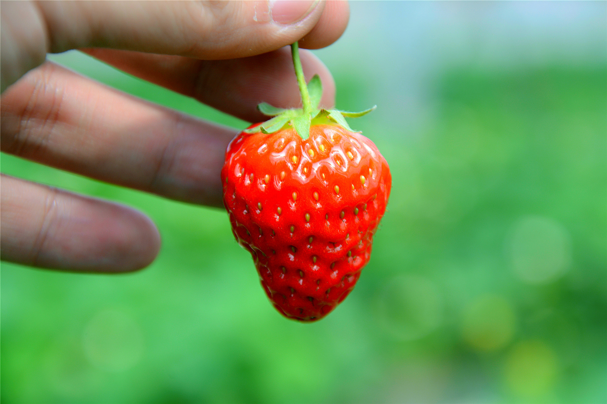 苏州的小桥流水在哪里,苏州比较不错的景点
