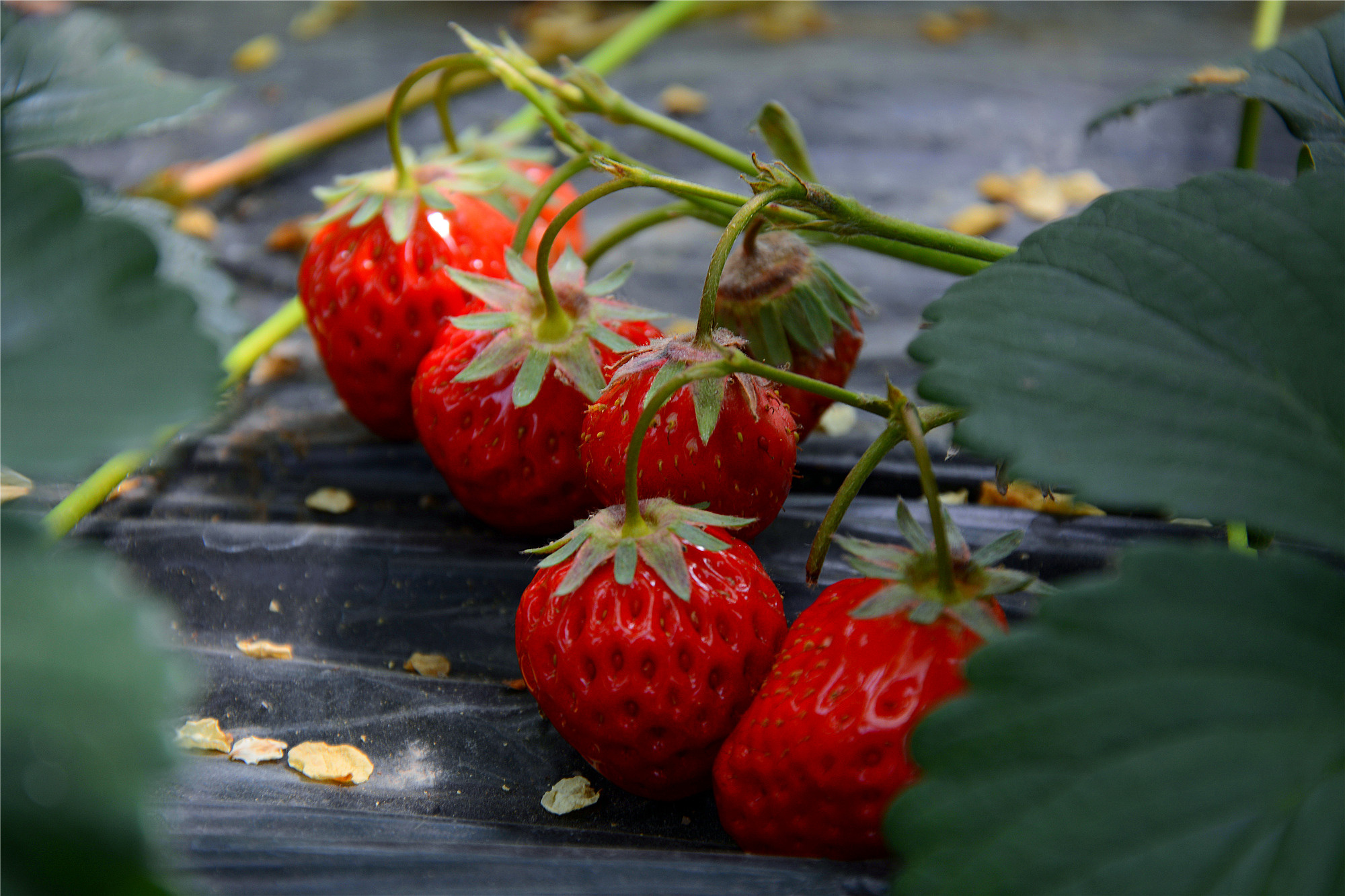 苏州哪里小桥流水人家,苏州少数人知道的好玩地方