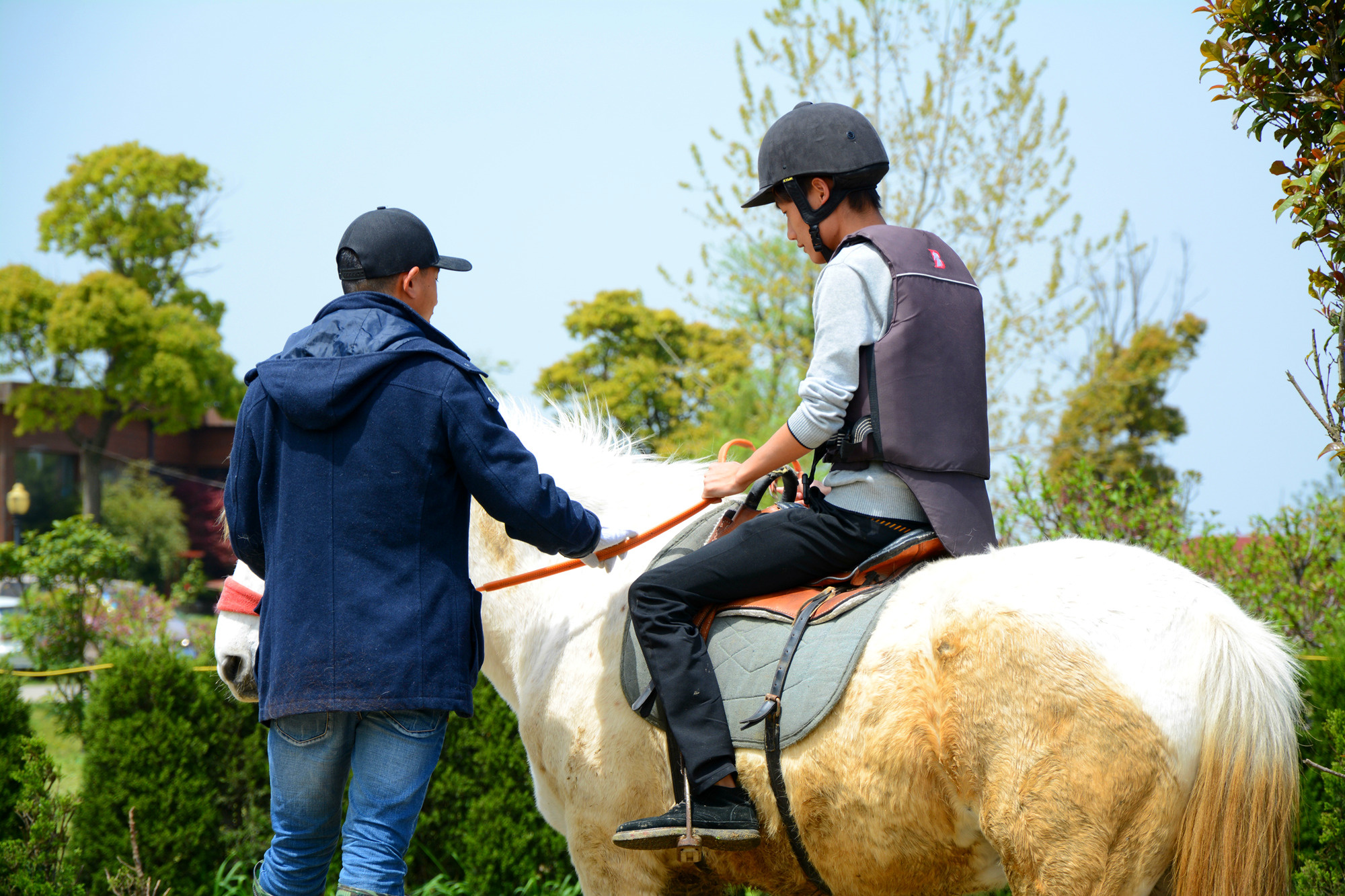 苏州哪些景点可以看小桥流水,只有老苏州人才知道的小众景点