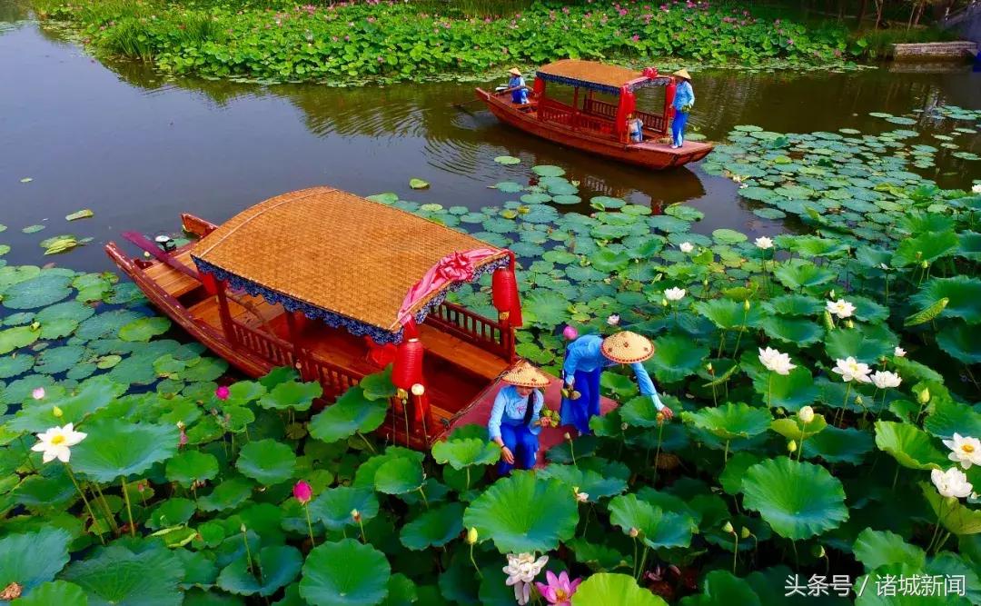 台儿庄古城免费政策包括哪些,台儿庄古城五区一市免费