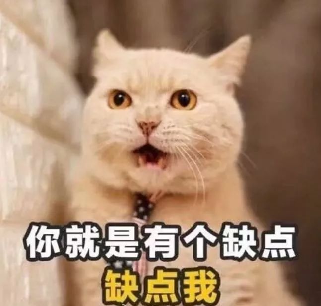 2018年世界杯土味情话撩妹,世界杯最经典的土味情话