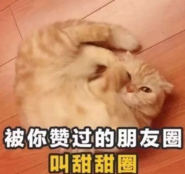 2018年世界杯土味情话撩妹,世界杯最经典的土味情话