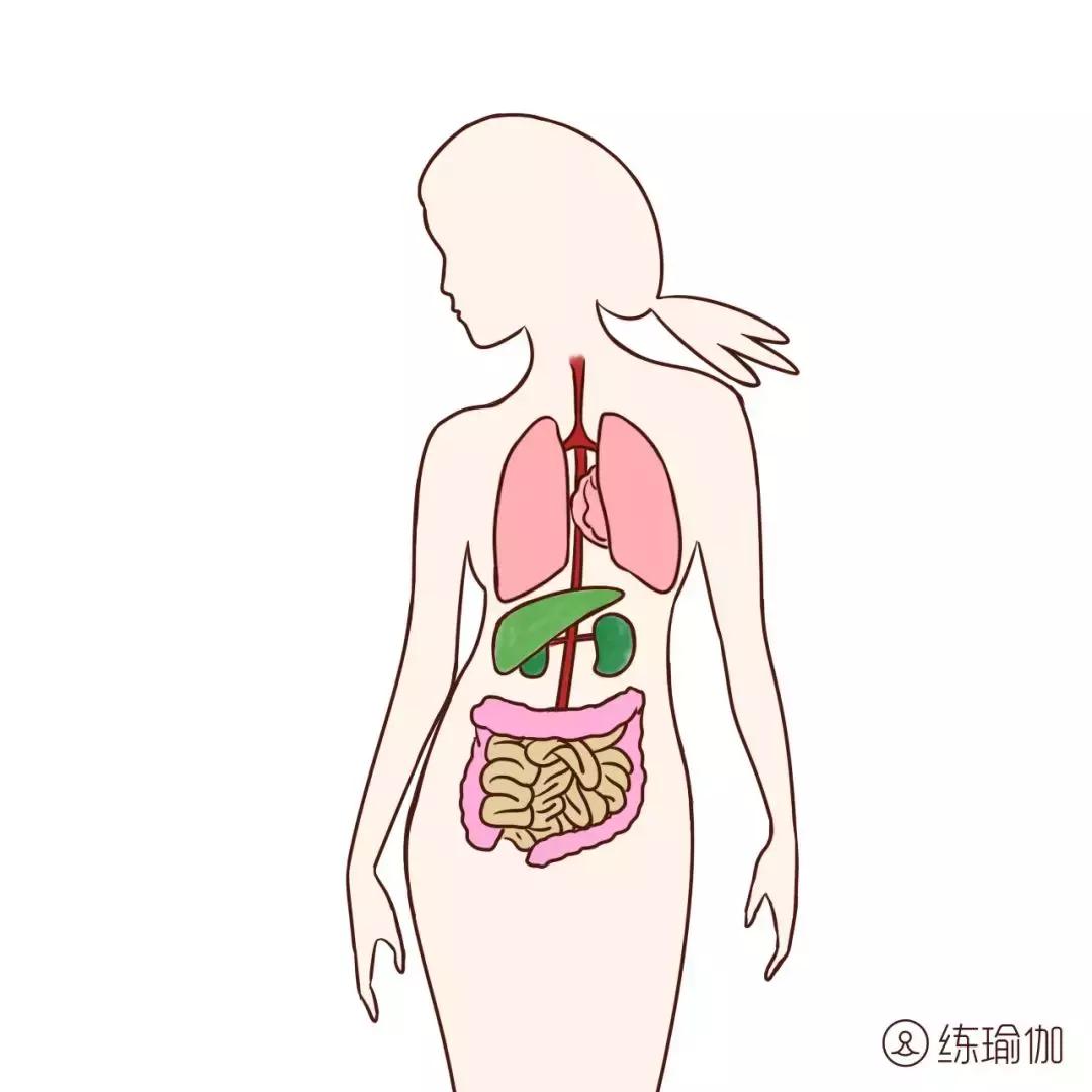 倒立基本要点,倒立最高级的保养方法