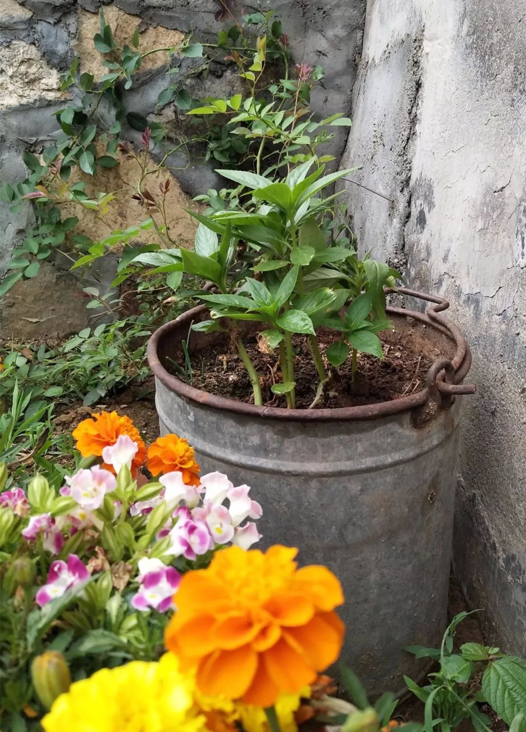 家里摆放凌乱废旧物品,家里的这些旧物别急着扔