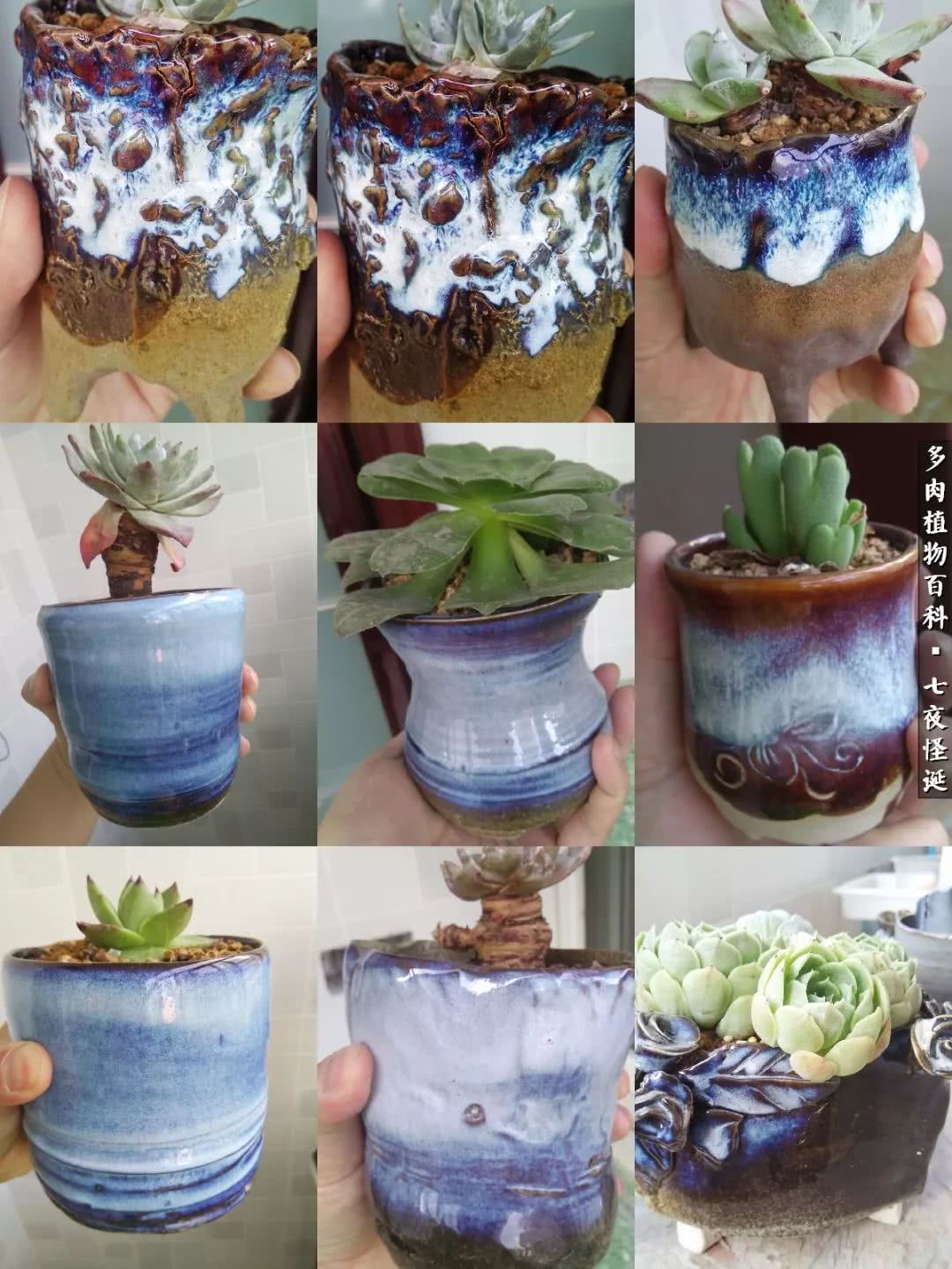 怎样做多肉盆手工,在家怎么制作多肉盆