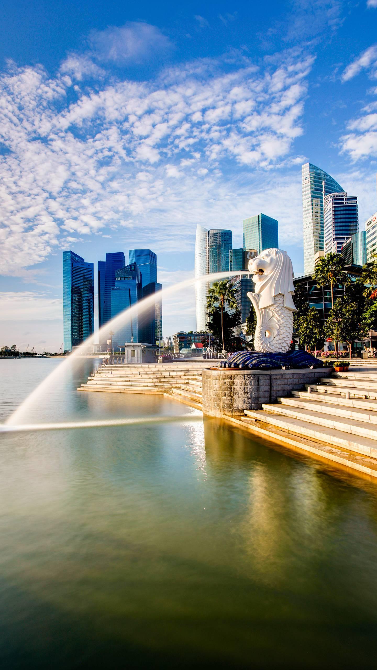 描写枫林诗苑的诗句,枫林诗苑对联大全