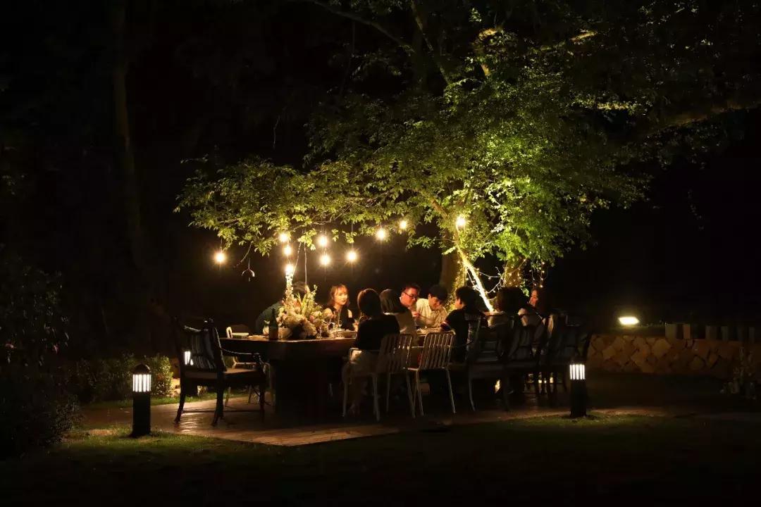 蓝宝书好吗,浙江民宿经营现状