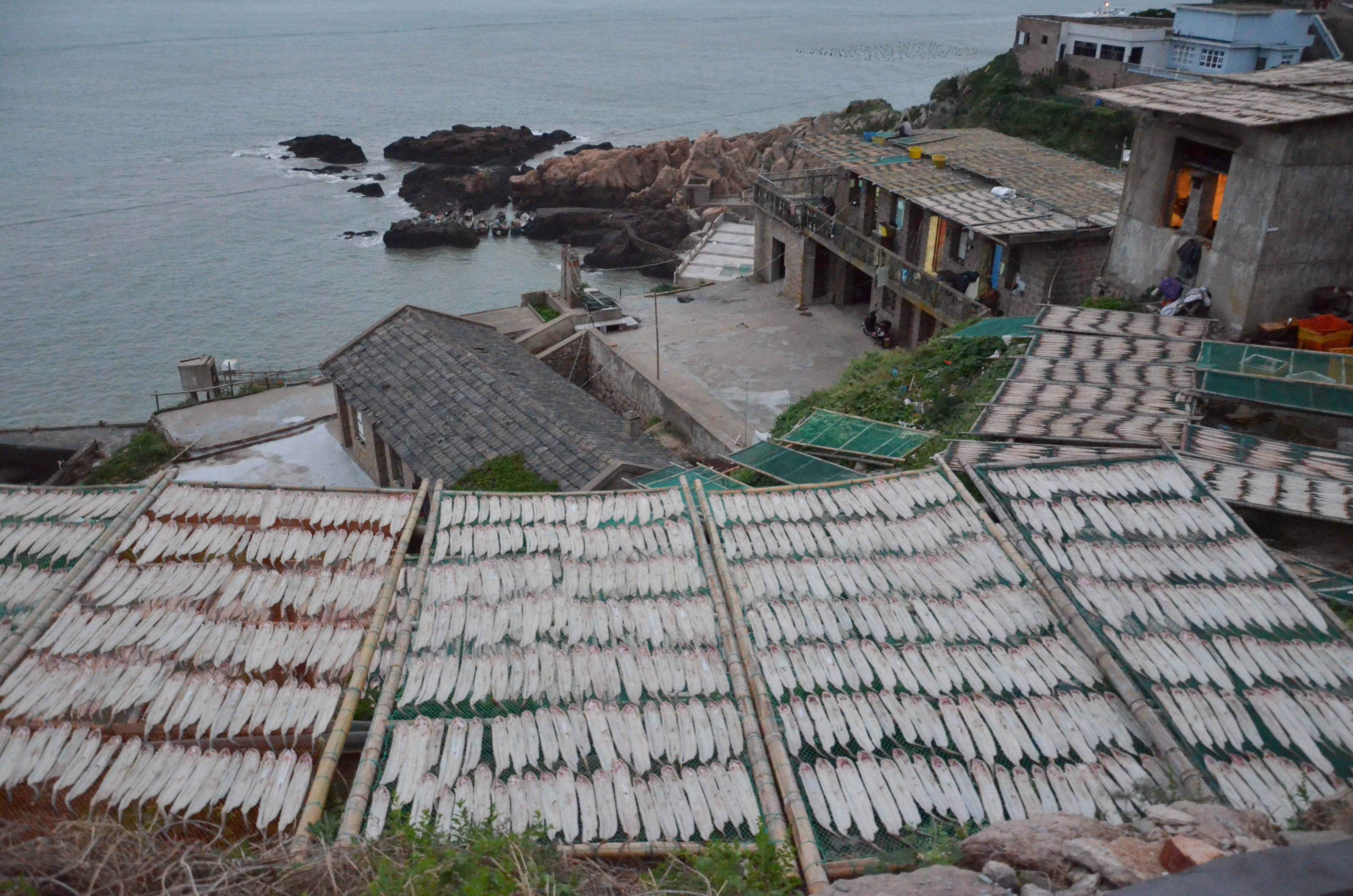 嵊山岛和枸杞岛住宿哪个好,嵊山中国最东岛屿