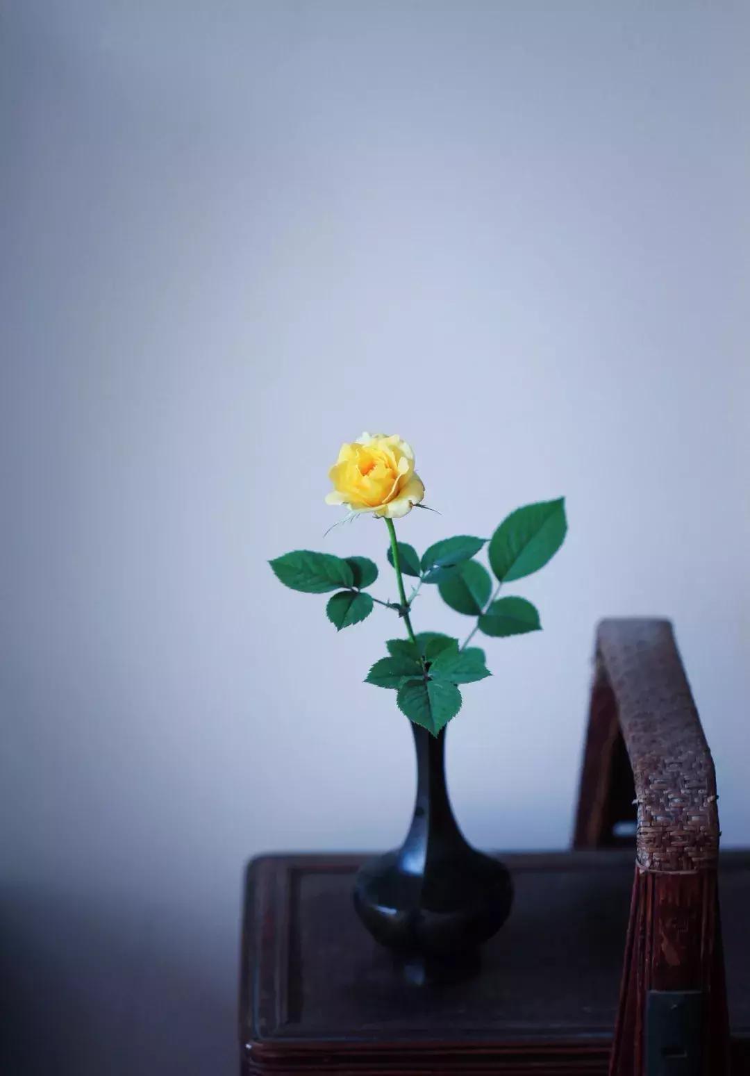 心若无物万般取舍皆自在,心若平和万般轻松自在