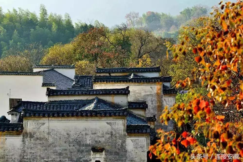 安徽这座城市被评为十大魅力城市,安徽最受重视的县