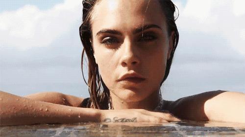 熊猫不是猫原文,熊猫不是猫原版